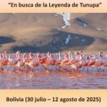 Programa Bolivia 2025 – 30 julio a 12 agosto